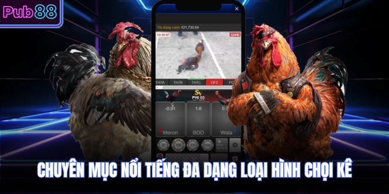 Chuyên mục nổi tiếng đa dạng loại hình chọi kê