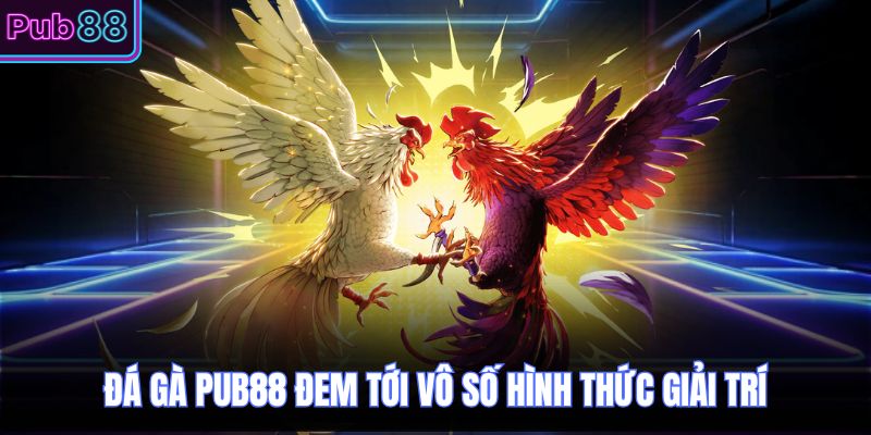 Đá gà PUB88 đem tới vô số hình thức giải trí